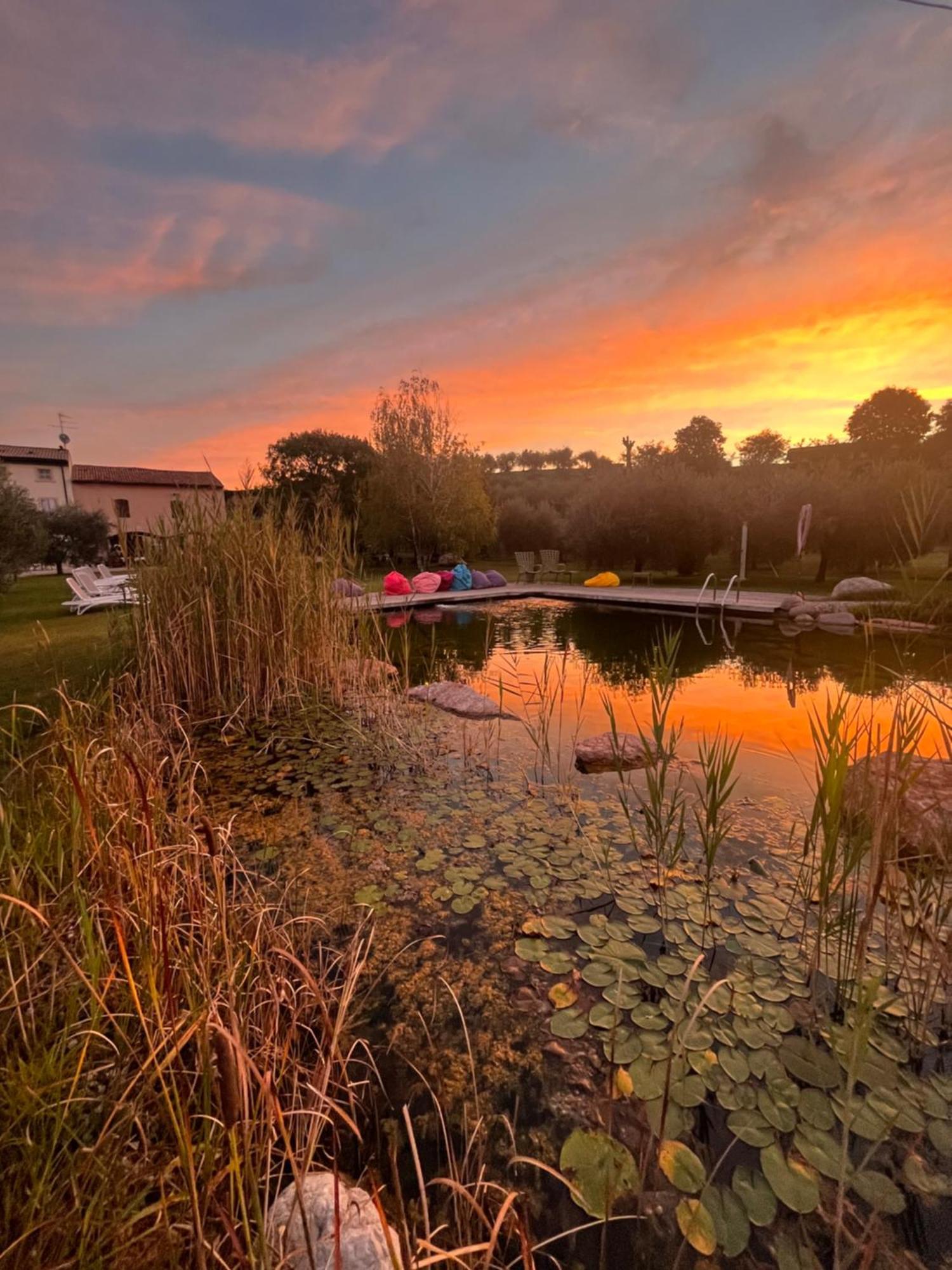 Agriturismo Casa Aurora Bussolengo Zewnętrze zdjęcie