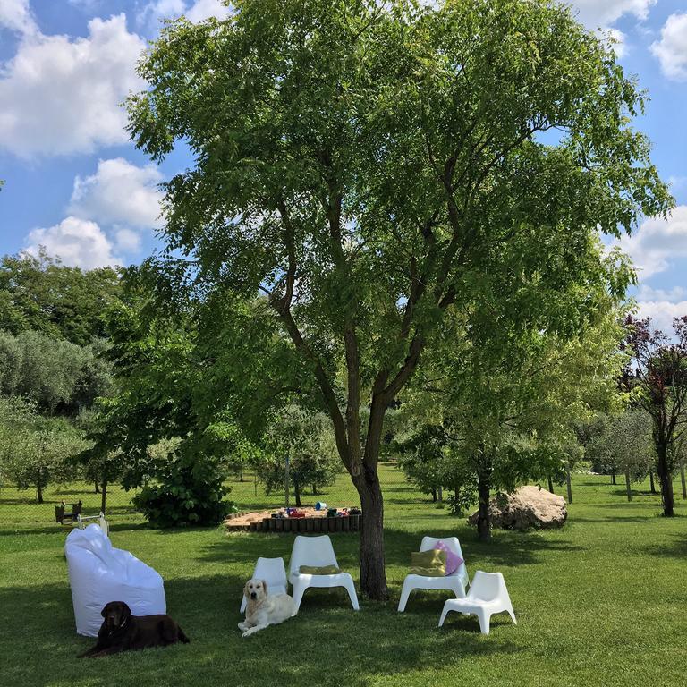 Agriturismo Casa Aurora Bussolengo Zewnętrze zdjęcie